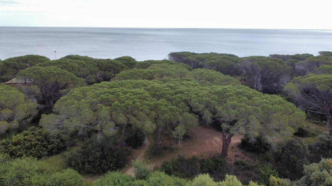 Le Pavoncelle Vila Budoni Exterior foto